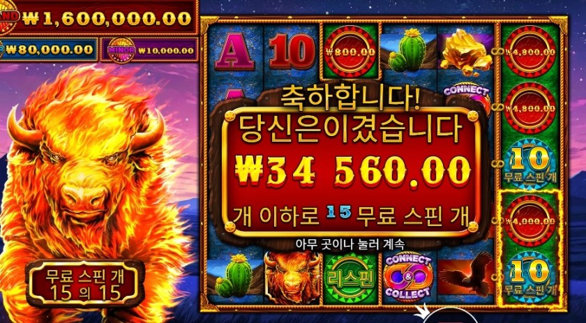 파이어 스탬피드 ２