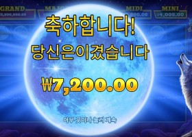 울프 골드 4 팩 7천원