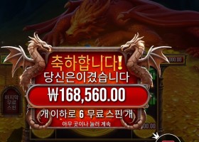 슬리핑 드래곤 421배