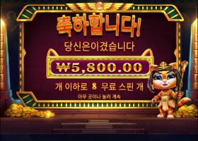 캣트라 2콩 구매