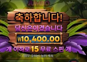 인기슬롯 점포 사파리 4콩 배팅