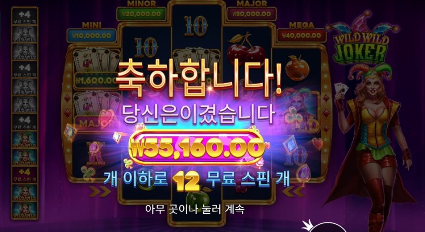 와일드 와일드 조커 55천원