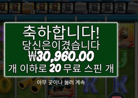 리턴 투 더 레이스 ２０스핀