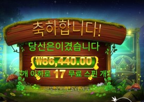 아이리스 크라운 216배