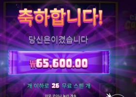 캔디 코너 164배