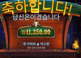 카우보이 코인즈 207배