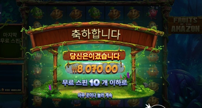 후르츠 오브 더 아마존 ８천원