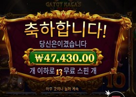 카토 카카즈 퓨리 237배