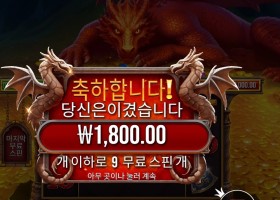 프라그마틱 플레이 슬리핑 드래곤