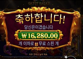 프라그마틱 가토 카카즈 퓨리