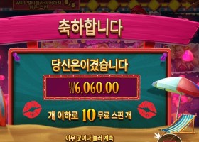 핀업 걸스 ６천원