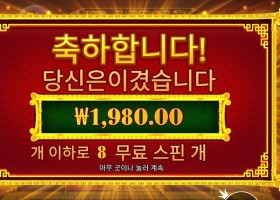 5 라이언즈 리본 8스핀