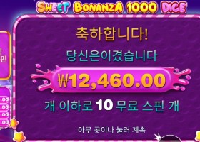 스위트 보난자 1000 다이스