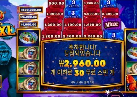 콩고 캐시 30스핀