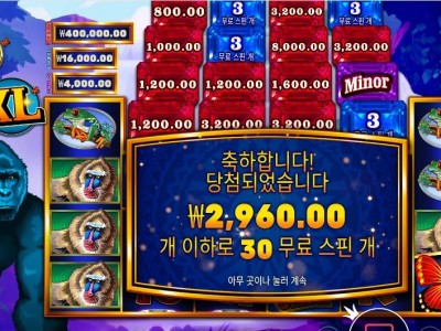 콩고 캐시 30스핀