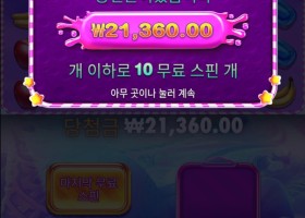 스위트 보난자 슈퍼스케터