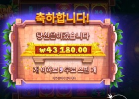 포춘 힛 앤 롤 216배