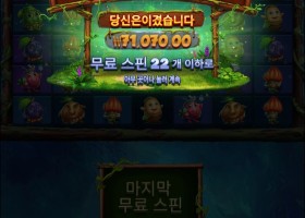 후루츠 디 오브 아마존