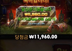 배구 제로 한판