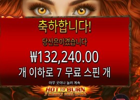 핫 투 번 ７ 데들리 프리 스핀즈 １３콩