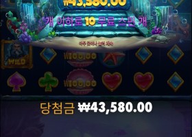 와일드 와일드 피얼스