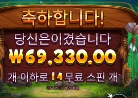 프라그마틱 릴리즈 더 바이슨 347배