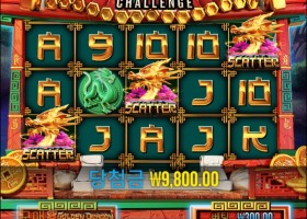 8골드 드래곤 챌린지