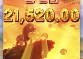 피지 사파리~ 오늘피지왜이리조아