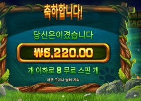 팀버 스택스 6천원