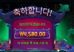 인펙티드 와일드 9스핀