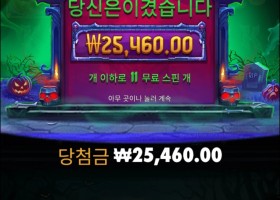 인펙티브 와일드