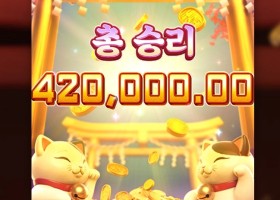 고양이들이 재롱부리네