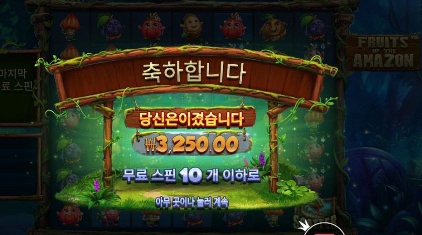 후르츠 오브 더 아마존 ３천원