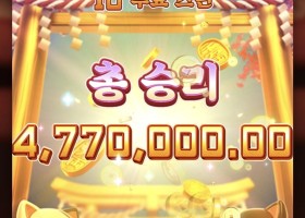 피지 네코 너무안나오드니 연달아ㄱㄱ