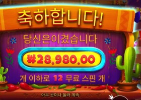 핫 페퍼 ２８천원