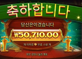 옥토비어 포춘 254배