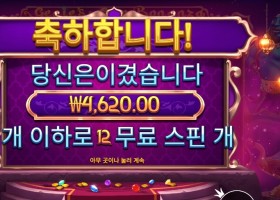 지니스 젬 보난자 2콩 배팅