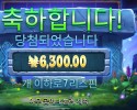 템플 ６천원