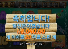 보난자 １０００ 20스핀