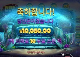 와일드 와일드 펄스 １콩