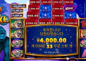 콩고 캐시 XL 33스핀