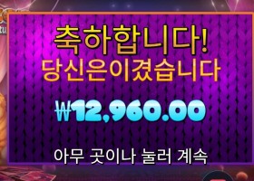 프라그마틱 폰조 펠라인 포춘스 후기