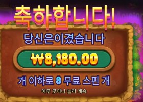 프라그마틱 머니 스택스 다이스 후기