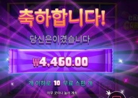 인기슬롯 캔디 코너