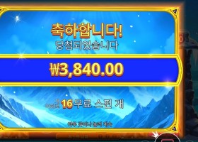 히말라얀 와일드 16스핀