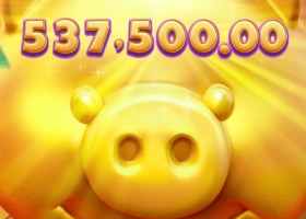 피지 행운 돼지