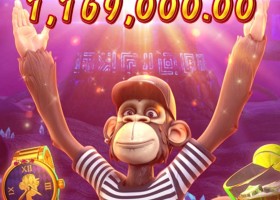 피지 와일드 원숭이