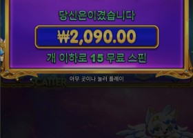 천공주 구매
