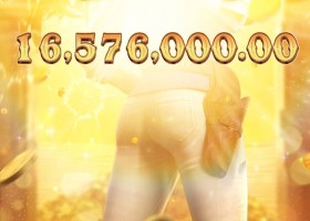 피지 와일드 바운티 쇼다운