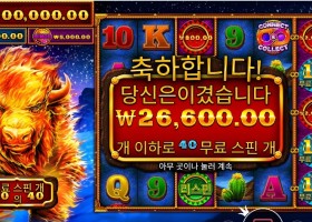 파이어 스탬피드 후기